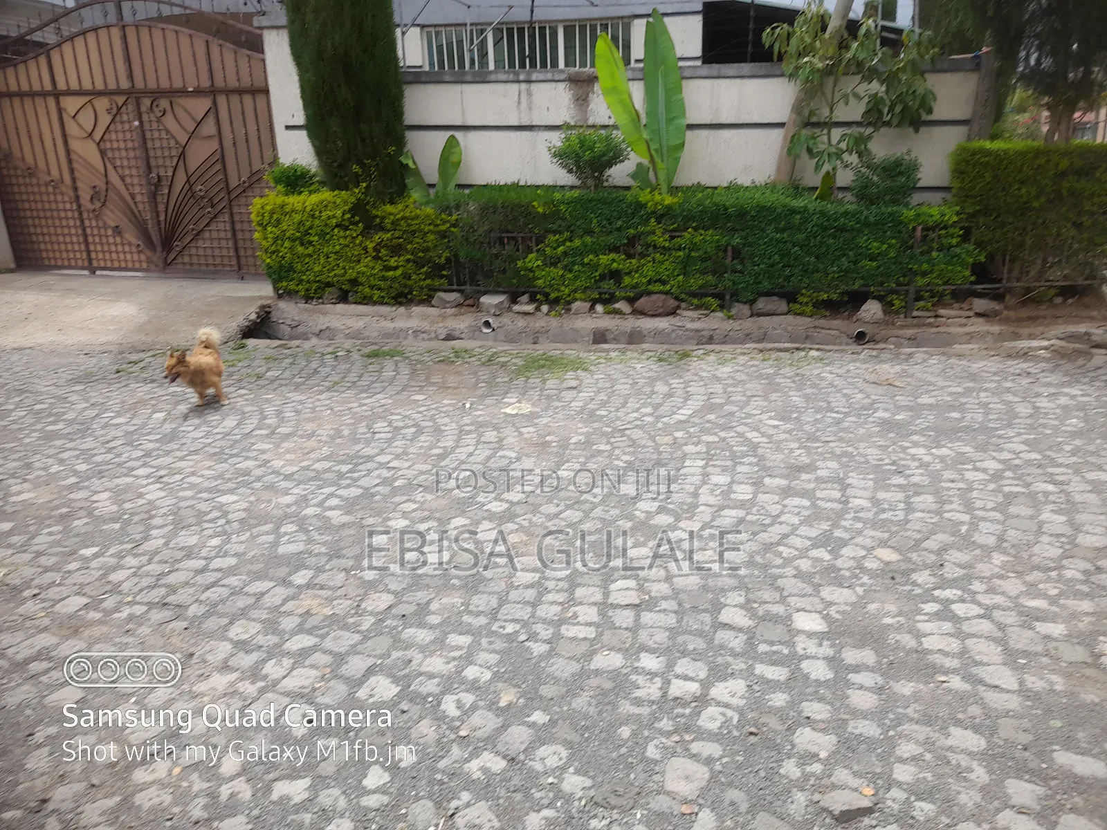 Furnished 6bdrm Apartment in Yeka for sale