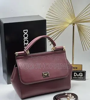 Dolce and Gabbana Ladies Bag