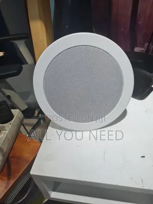 Photo - Seilling Speaker