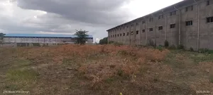 የሚከራይ 10ሺህ ካሬ መጋዘን ለቢራ ፋብሪካ መጋዘን የነበረ