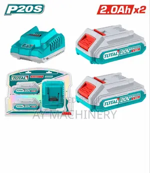 Battery and Charger Kit for Ingco/Total