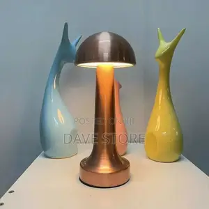 Photo - Rechargeable Led Table Lamp