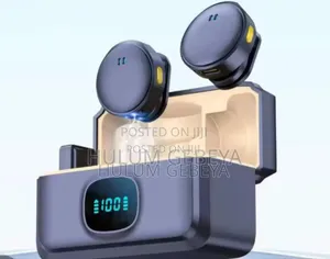 Photo - Wireless Dual Microphone