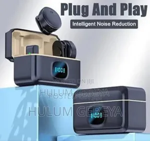 Wireless Dual Microphone