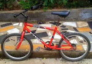 Photo - Orginla Cycle