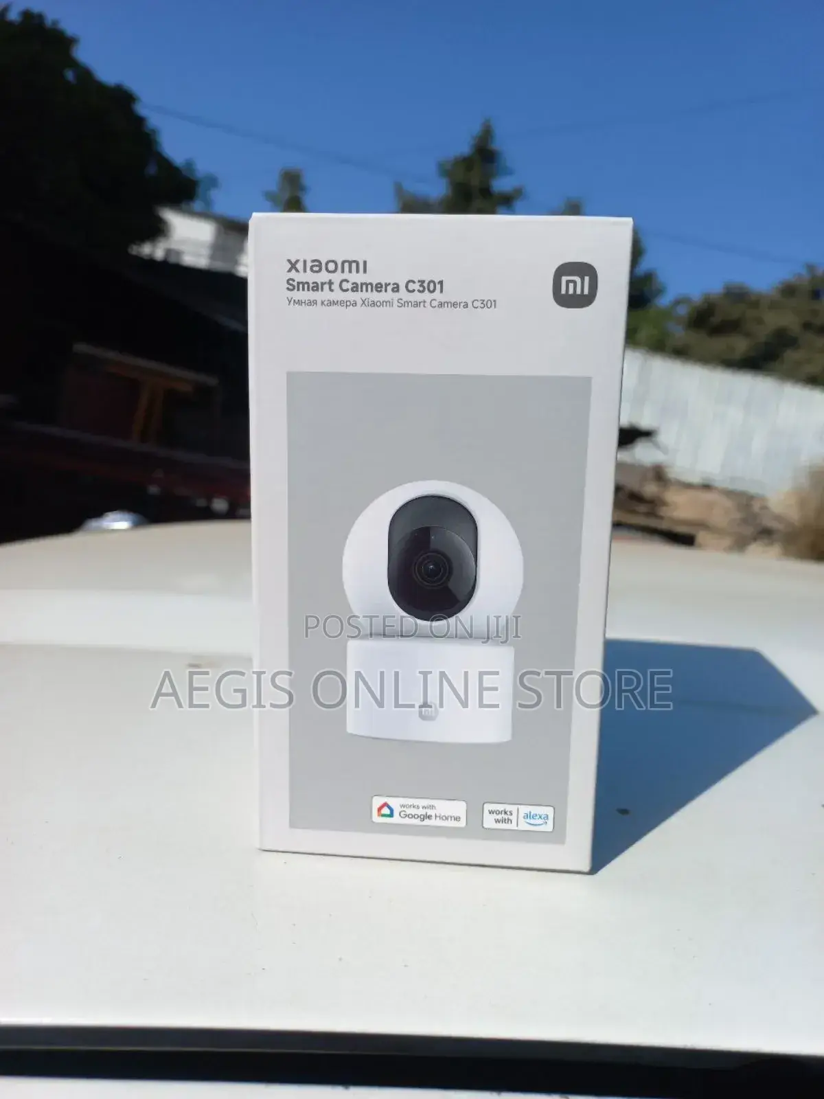 C301 Security Camera