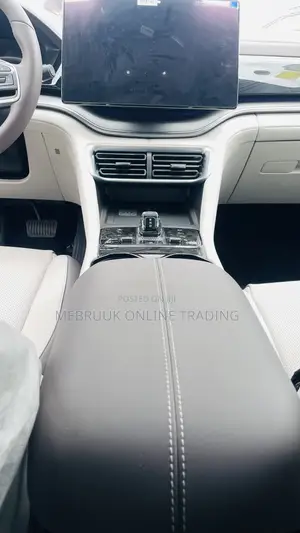 New BYD Song Plus 2025 White