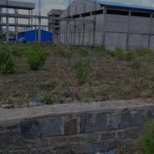 Photo - አስቸካይ የሚሸጥ መጋዘን