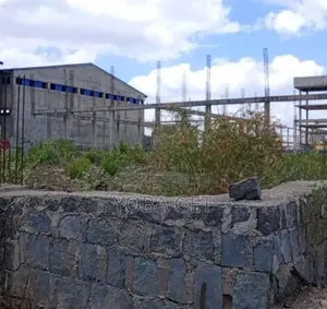 አስቸካይ የሚሸጥ መጋዘን