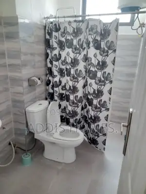 Furnished 2bdrm Apartment in Bole for rent