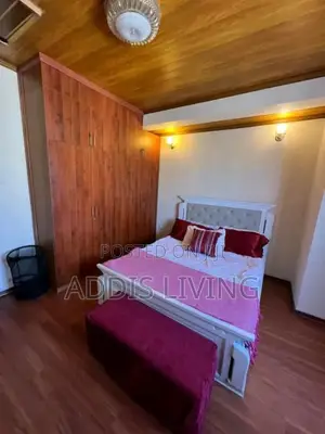 Furnished 3bdrm Apartment in Bole for rent