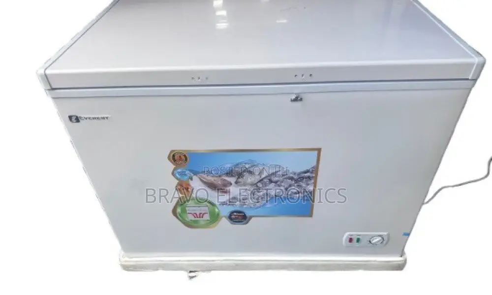 Everest 430 Deep Freezer