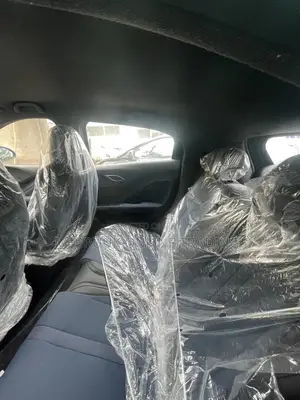 New BYD Seagull 2025 Ivory