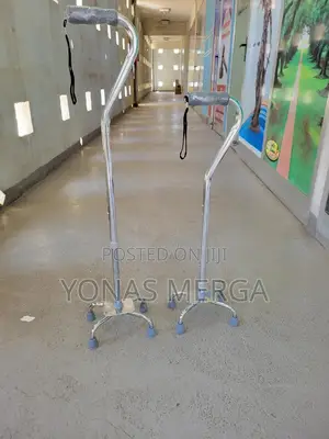 Photo - Walking Stick With Hospital Canes Nice Family፯[]4leg Kezera