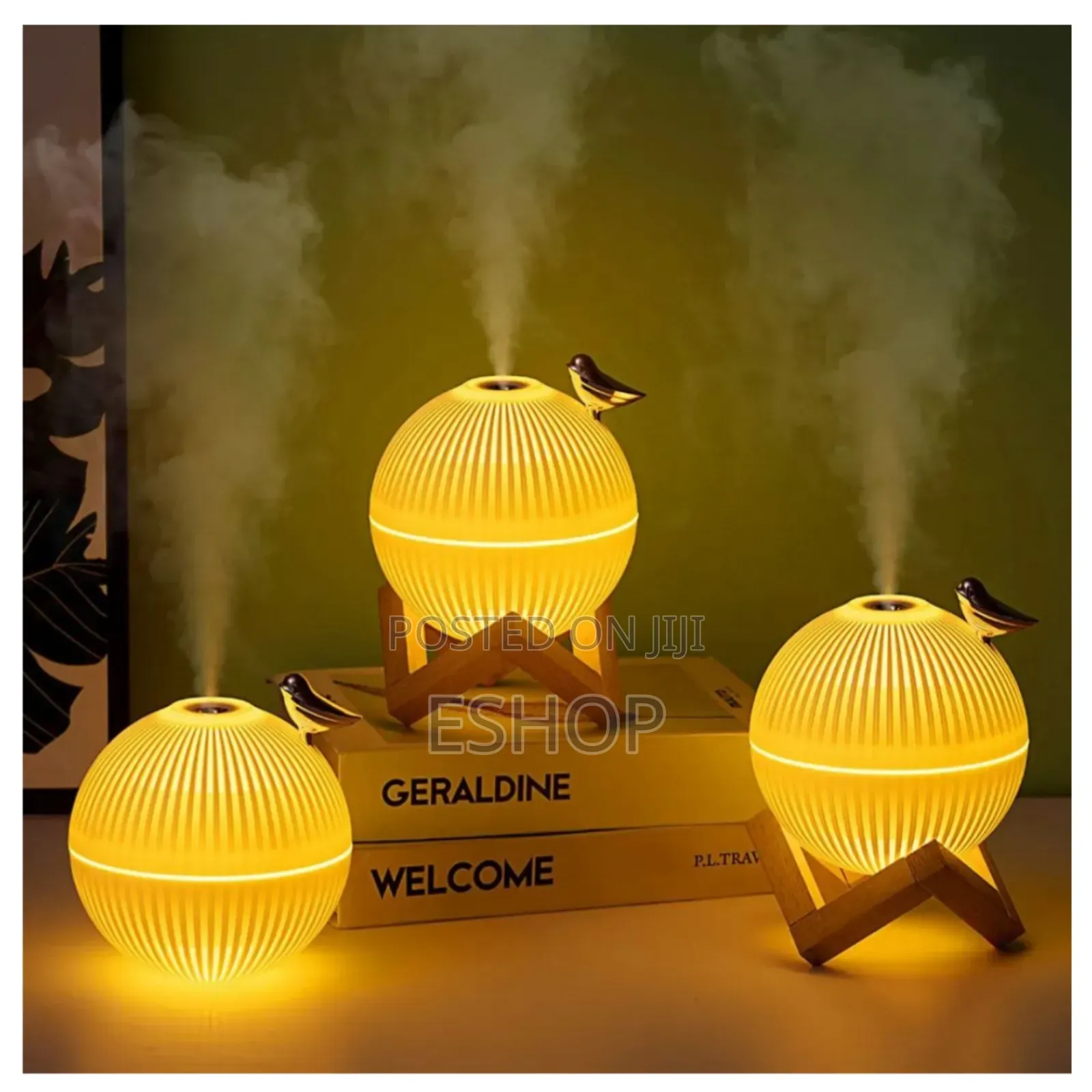 **Mini Humidifier With Led – Great for Dry Climates**