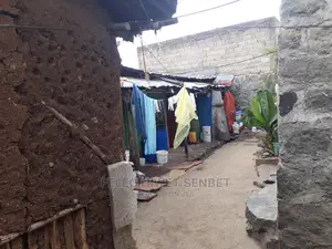 የሚሸጥ ፈራሽ ቤት ያለው ምርጥ ቦታ