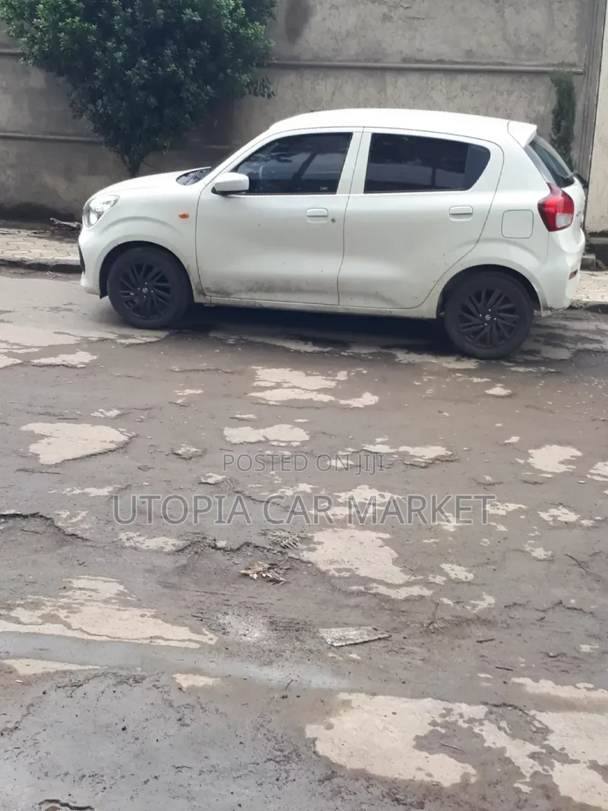 Suzuki Celerio 2019 White