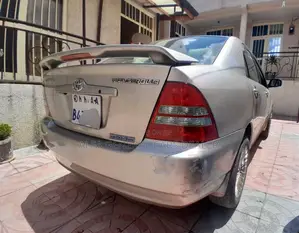 Toyota Corolla 2003 Gray