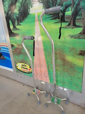 Cane/Quad Cane Gives You the Extra Support of 4-Footed Base