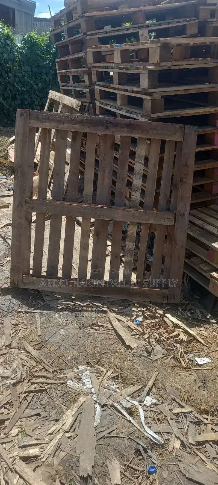 Pallet for Store