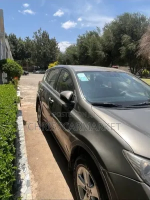 Toyota RAV4 2014 Brown