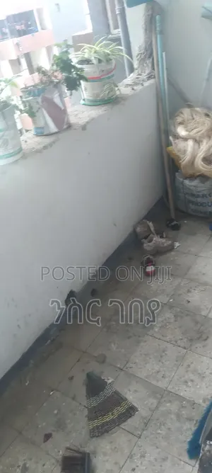 Photo - Condominium (Sale)