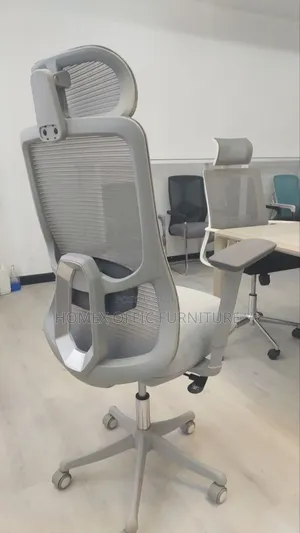 Managerial Mesh Chair
