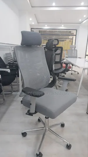 Photo - Office Managerial Mesh Chair