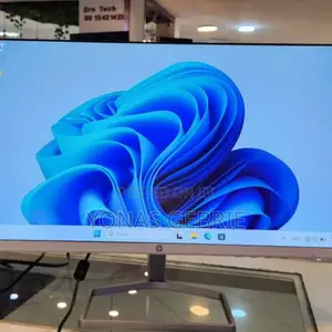 Photo - Computer Monitor