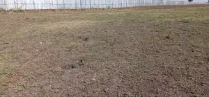 Photo - Fenced Plot /Land for Rent on Asphalt Road