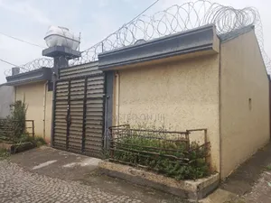 Photo - Furnished 3bdrm House in ጊቢ ገስት ሃዉስ 3መኝታ, Bole for rent