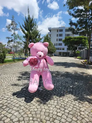 Photo - Teddy Bear Size 2 Meter