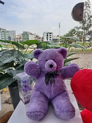 Photo - Teddy Bear Size 45cm