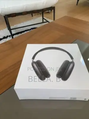 Photo - Apple Airpod Max Headset Long-Lasting Battery Life