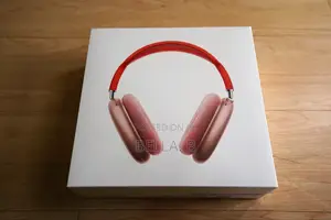 Photo - Apple Airpod Max Headset Everywhere You Go