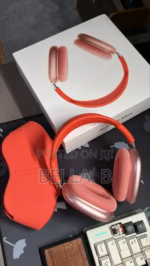 Apple Airpod Max Headset Everywhere You Go