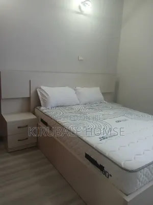 Furnished 2bdrm Apartment in Bole for rent
