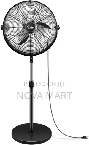 Standing Fan