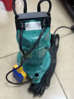 Photo - Water Pump QDX 1hp