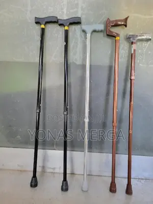 Photo - Old Man's Walking Stick (1 Foot Style)