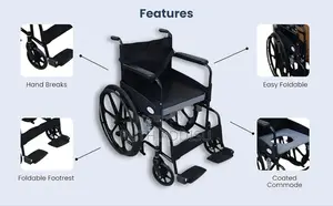 Wheelchair因wheelchair去wheelchair之wheelchair豐wheelchair