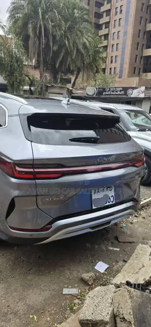 Photo - BYD Song Plus 2024 Gray