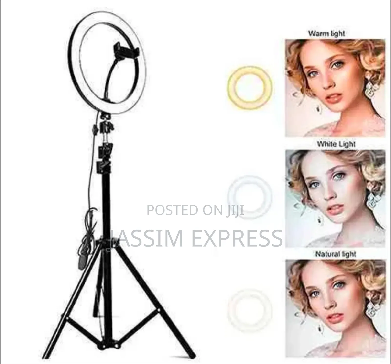 Ringlight With 2 Meter Tripod and Phone Holder