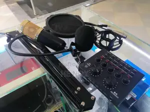 Professional Condenser Microphone With Sound Card