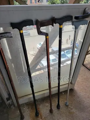 Photo - Walking Stick፵√Mountain Aluminum Walking Stick∆¤Faygz Cane