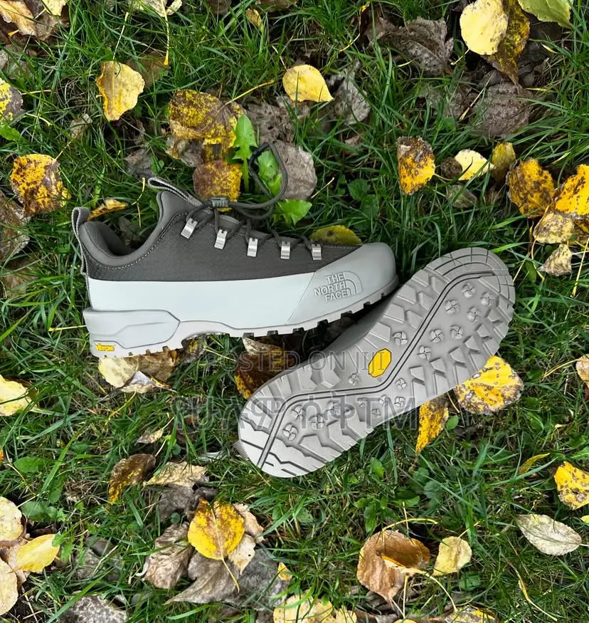 Original the North Face Men’S Shoes