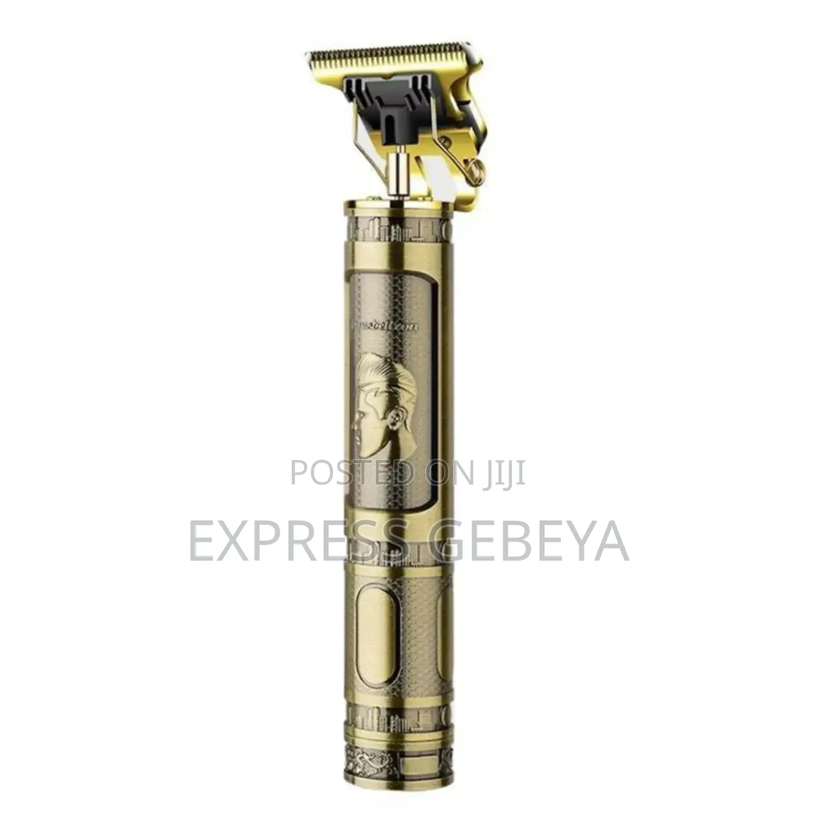 Rechargable Hairdresser