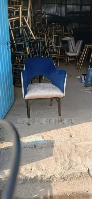 Hotel Restaurant Vip Chair Metal Lega