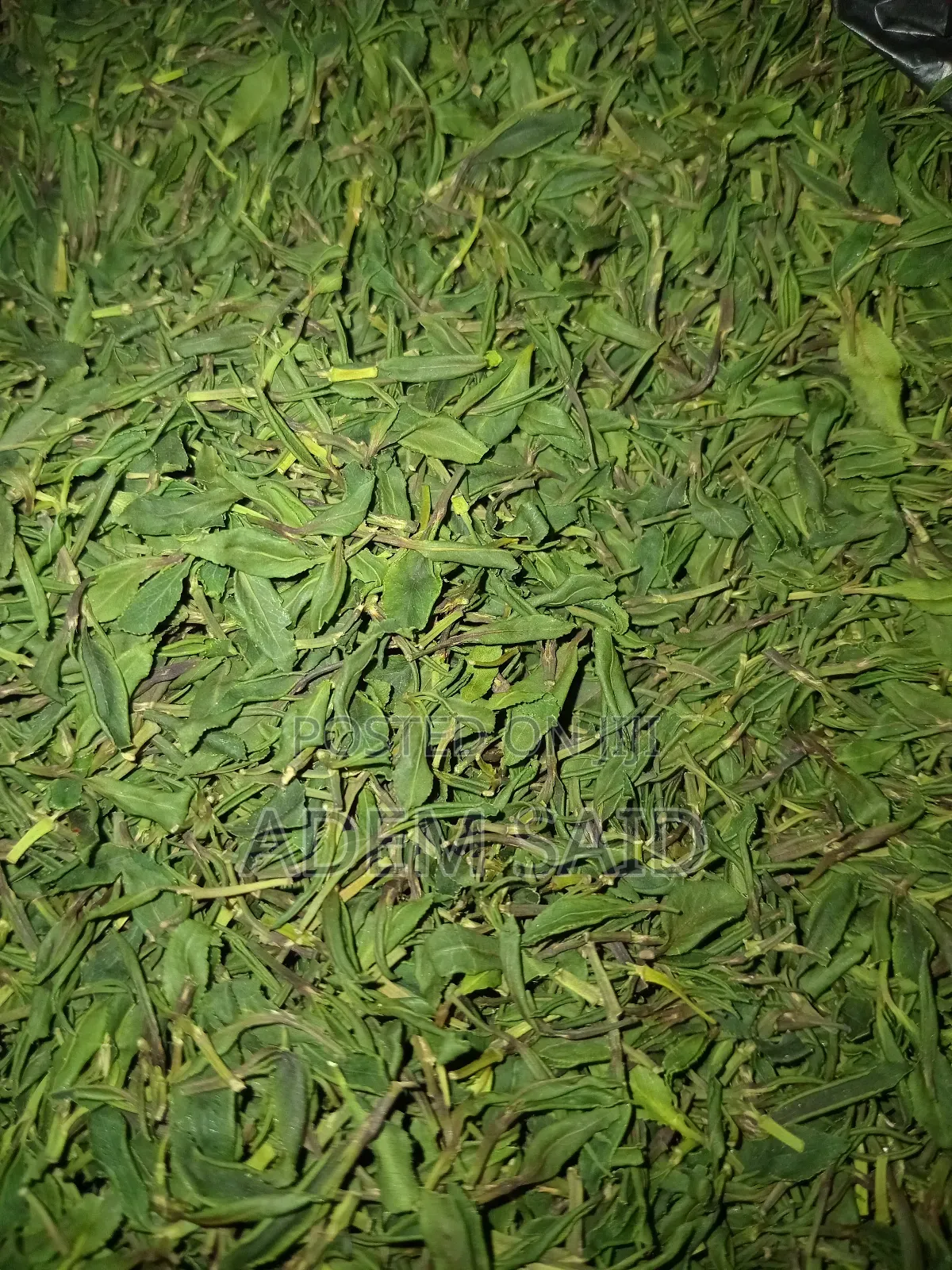 Ethiopian Dry Khat
