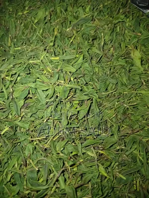Ethiopian Dry Khat